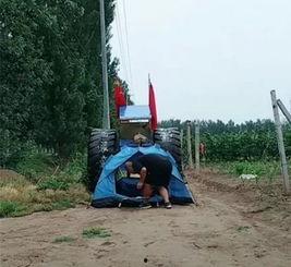 哈尔滨徒步爆料案件最新,真相大白，疑云散去